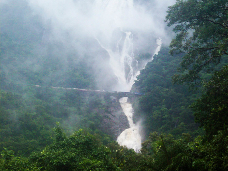 Dudhsagar with a train passing in front