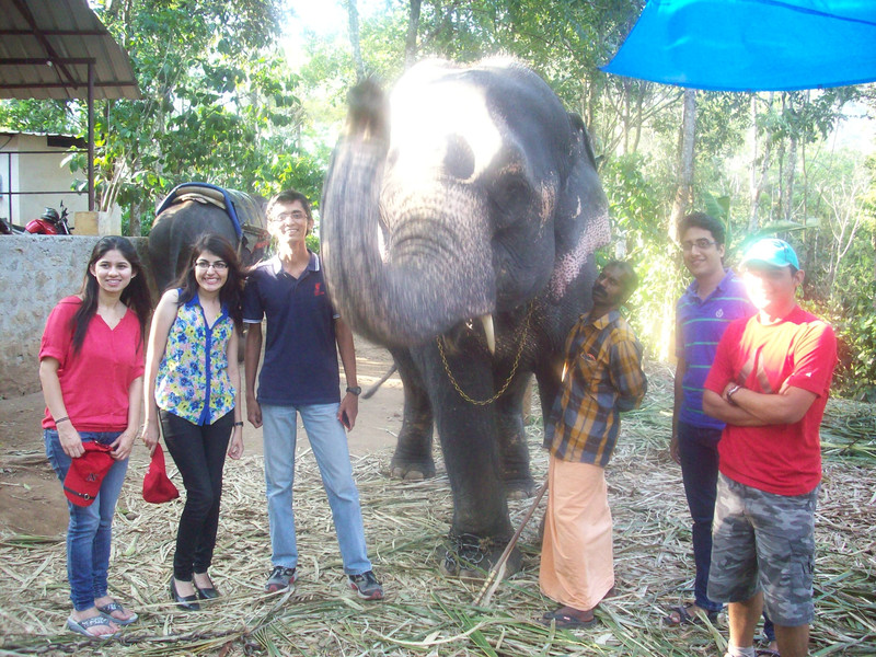 With the elephant