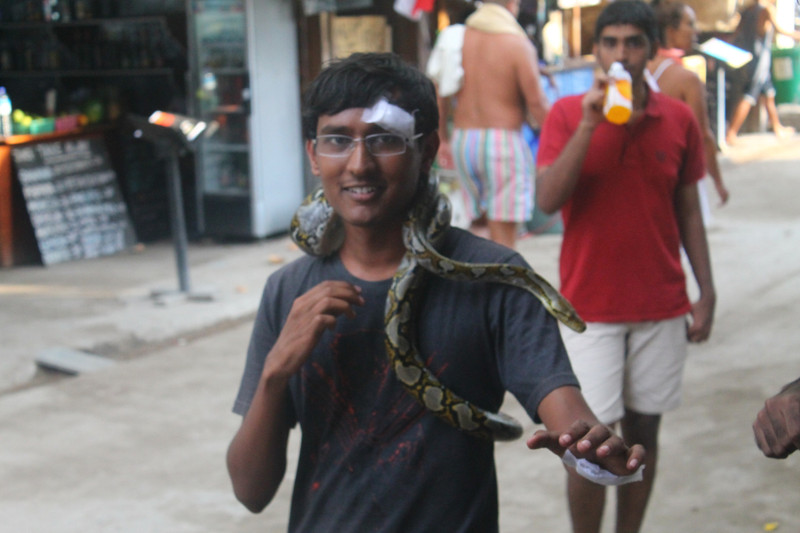 Patil and a Python