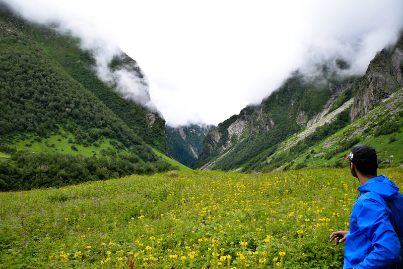 Kapil marvelling the Valley of Flowers
