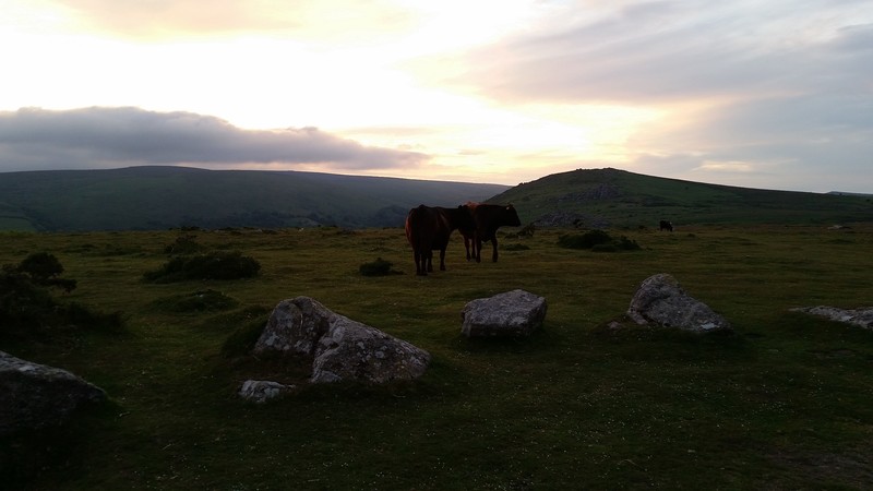 Sunset in the moor