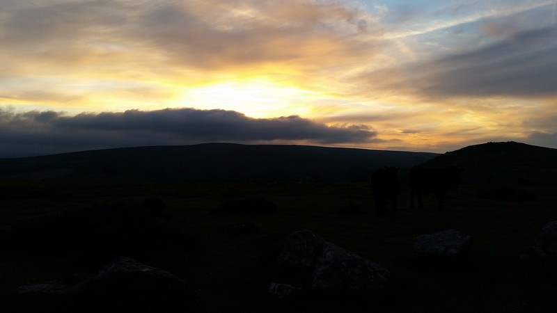 Sunset in the moor.