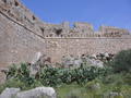 castle walls among the cacti