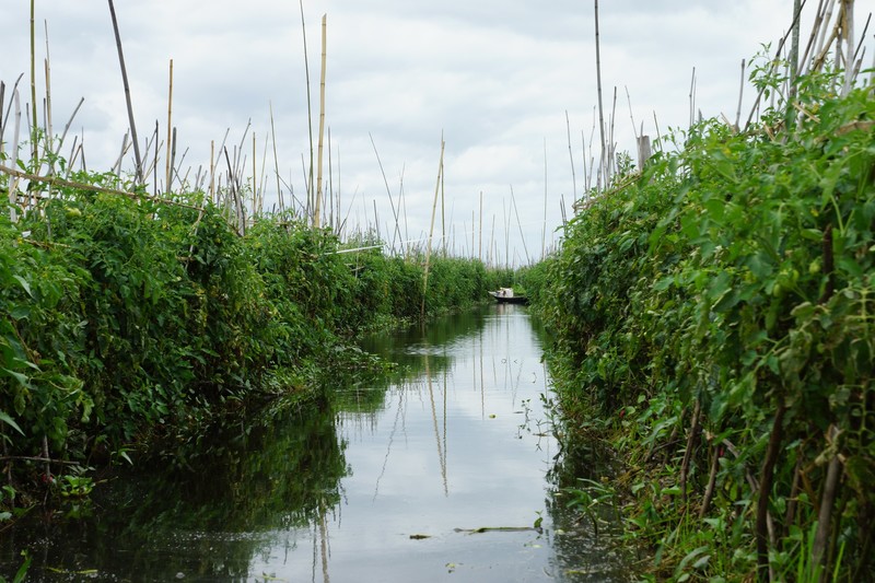 Myanmar Inle Lake 