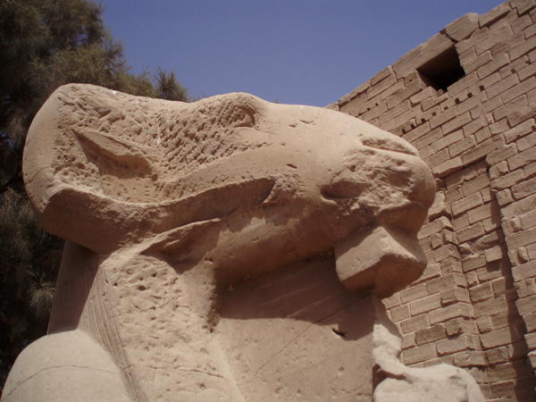 Crio-sphinx of Karnak