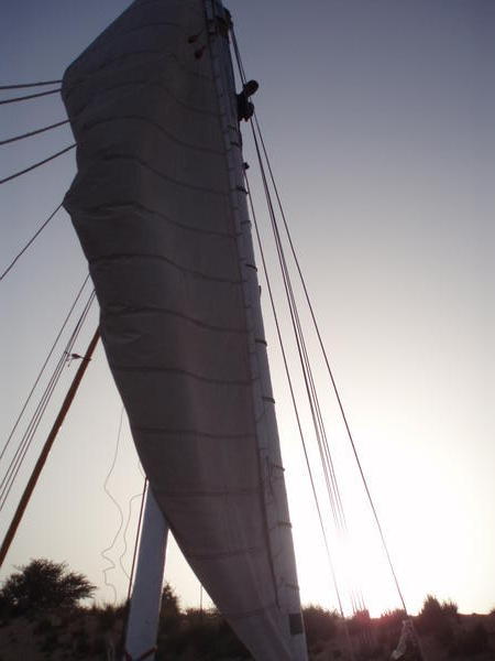 Felucca sail