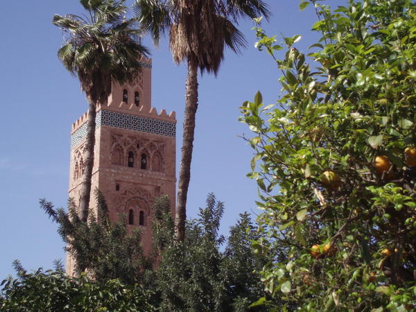 Koutoubia Mosque and a lemon tree