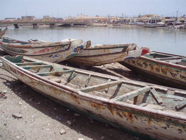 Senegal River boats