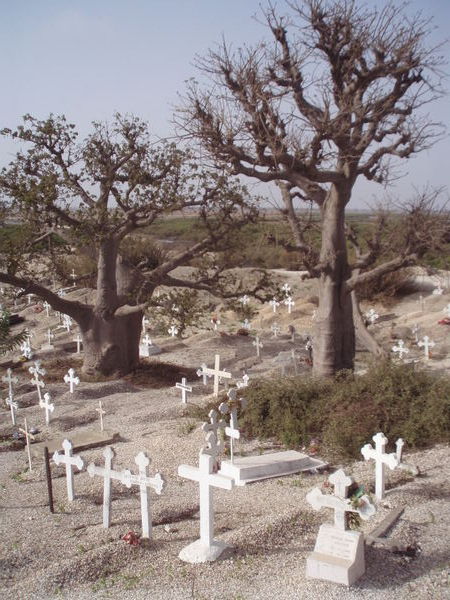 Baobabs and graves