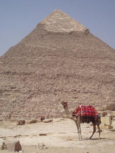 Pyramid and camel