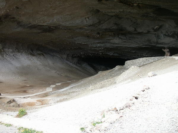 The opening of Milodon Cave