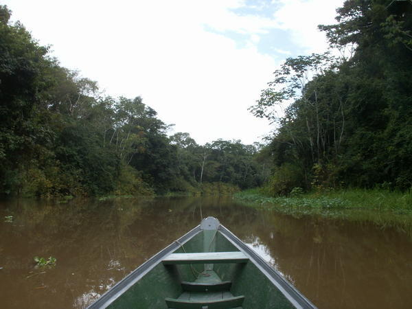 A branch of the Amazon River