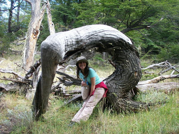 Claudia under a strangely shaped tree