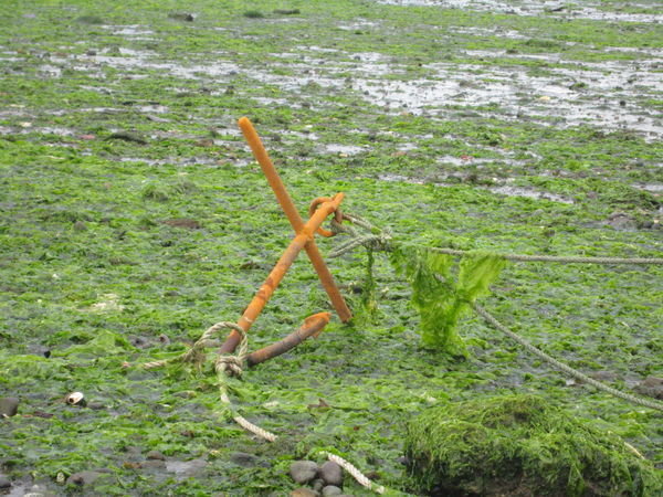 low tide in Chonchi