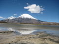 reflections, Lauca National Park