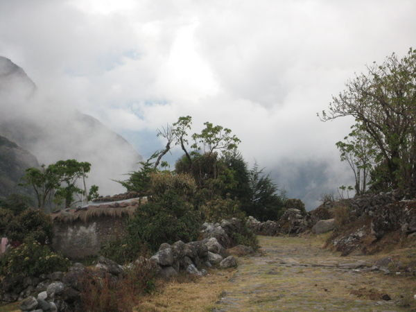 the first of the cloud forest