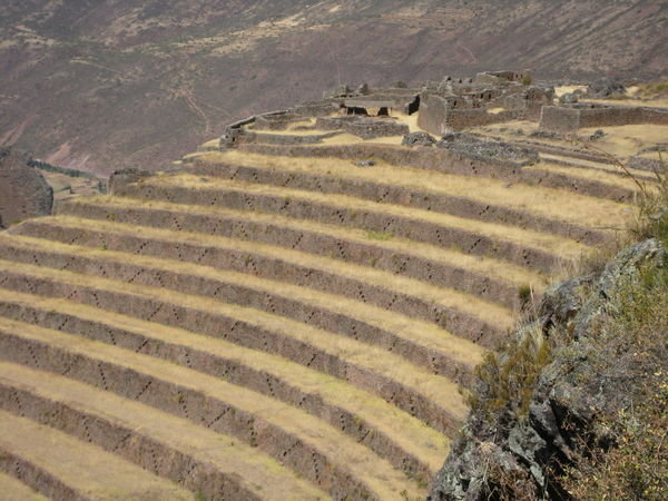 Inca agricultural terraces at Pisac