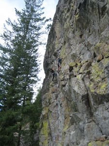 climbing the green stuff