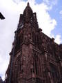 The Majestic Strasbourg Cathedral!