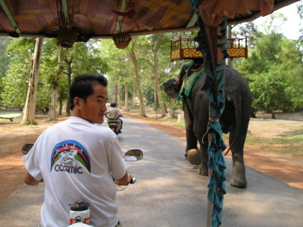 Racing with an elephant
