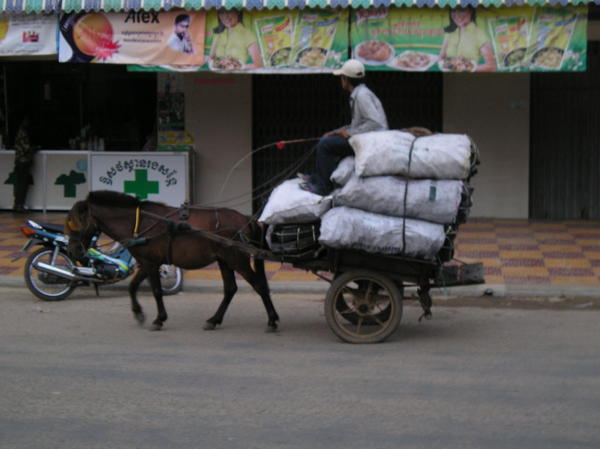 Pony carriage in Kampong Cham 