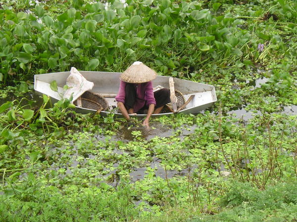 A local woman near Hoa Lu