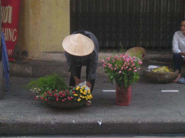 Rose vendor in Hanoi's Old Quarter