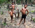 Yanomami Indians