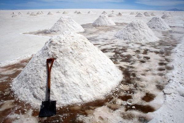 The Salt People 