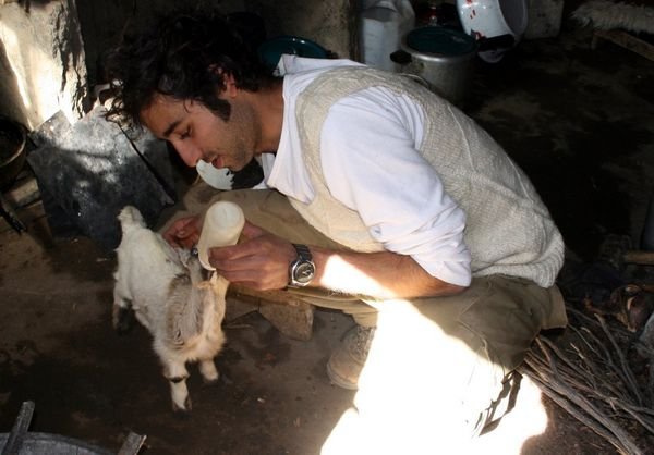 Feeding The Goats 