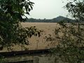 River Phalgu, Gaya - Only sand, water flows underground 