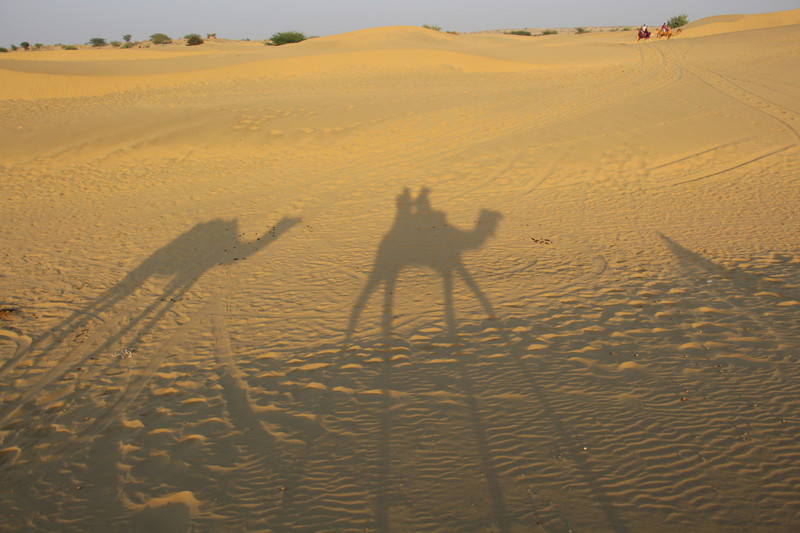 Our Camel safari