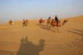 Camel ride at Sam Sand Dunes