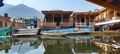 Luxurious Shikara, Dal Lake, Srinagar