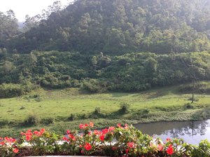 RIVER VIEW FROM HOTEL MUNNAR