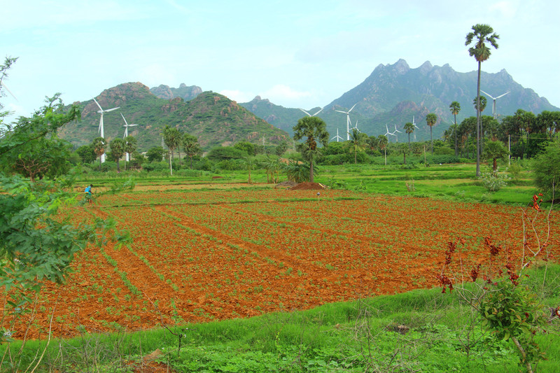 Land of windmills Tirunelveli