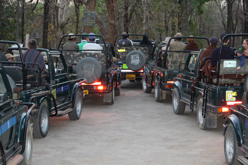 Ready, steady, start - Khatia Gate, Kanha National Park