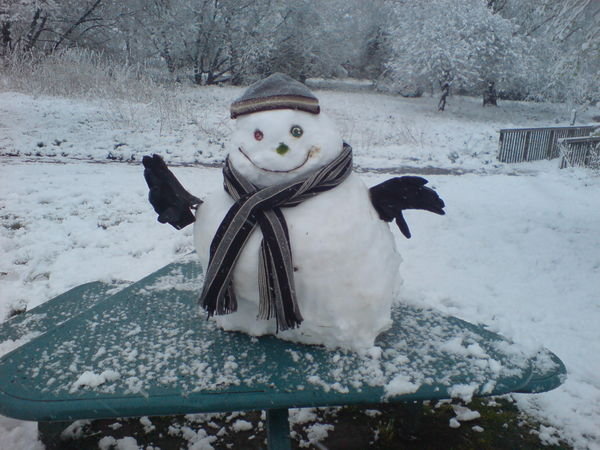 Steve the Snowman