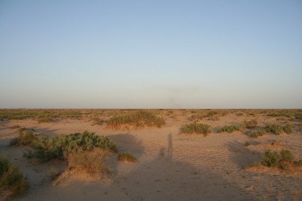 360 degree view in the vanished Aral Sea IV