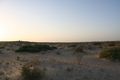 360 degree view in the vanished Aral Sea I