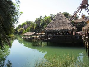 In the Polynesian region of the park