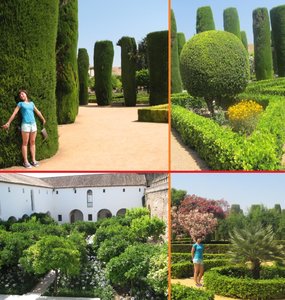 Beautiful gardens of the Alcázar