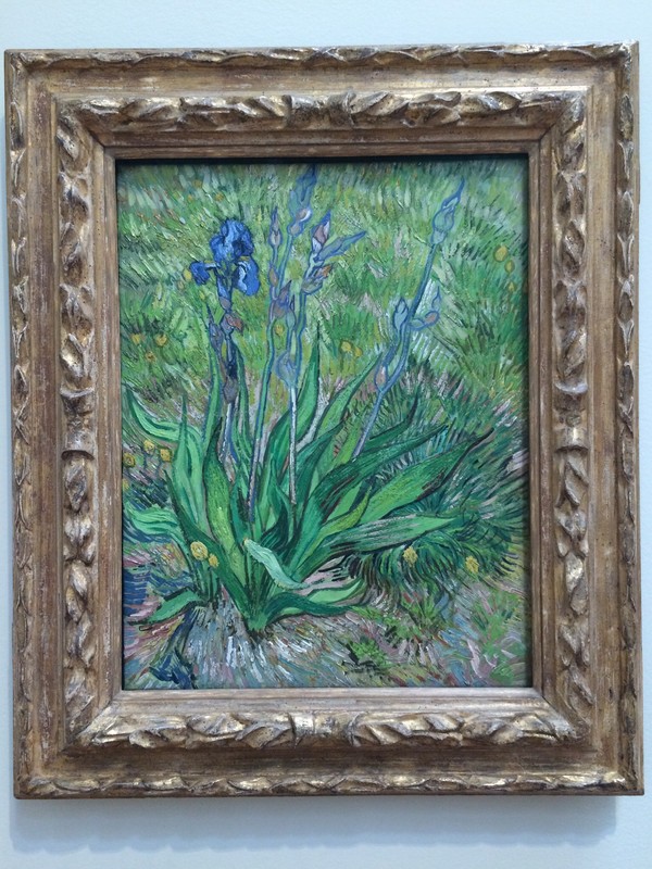 Van Gogh painting entitled "The Irises"