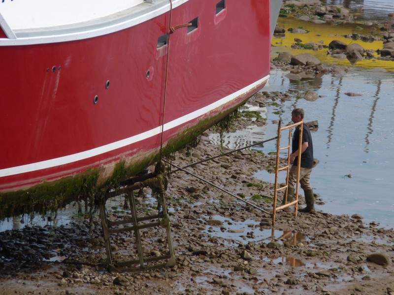 Fixing a boat while the tide is low