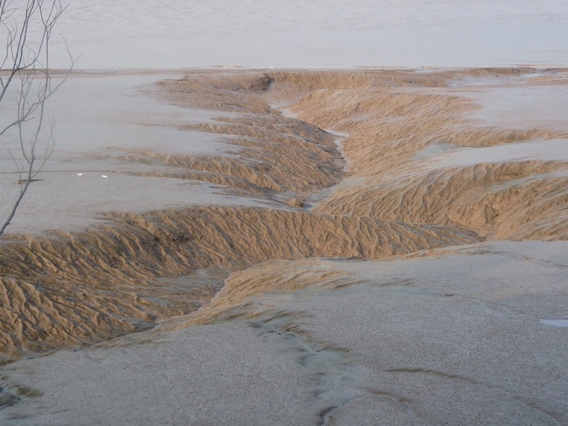 Low tide in Bay of Fundy