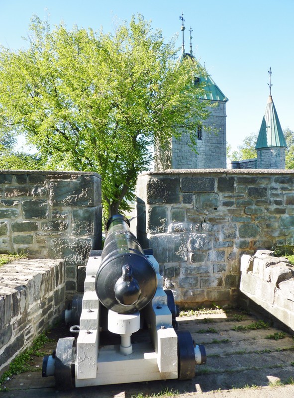 Cannon at the Citadel