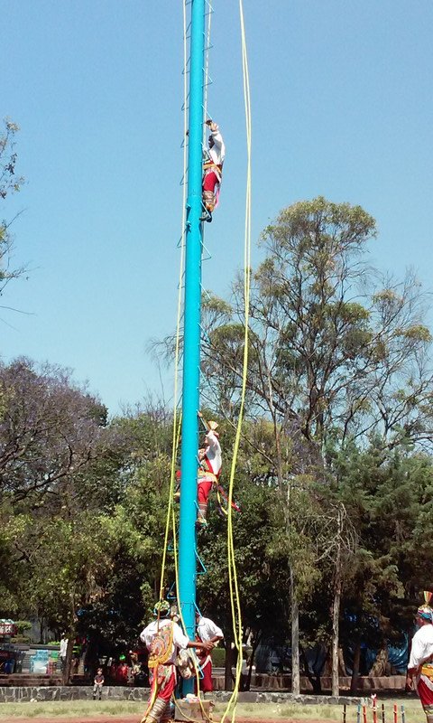 Voladores climbing to the top