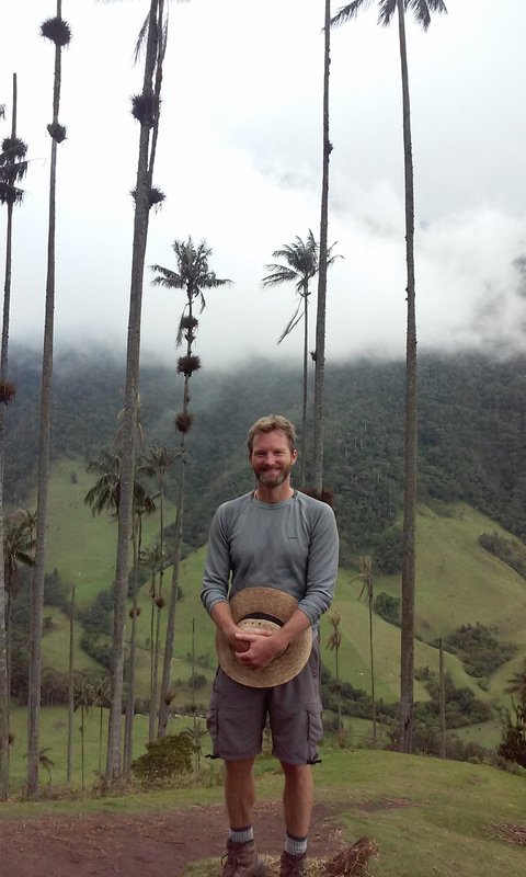 Wax palms in the Valle de Cocora, coffee region