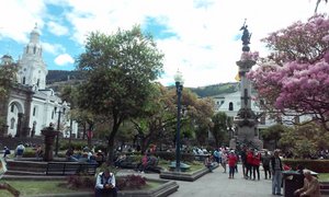 Quito's Historic Center: Plaza Grande