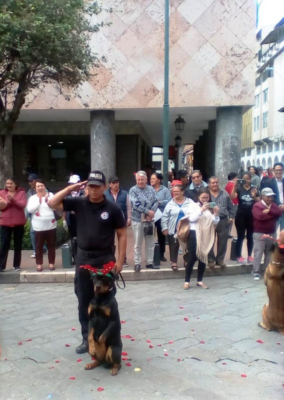Police dog salute